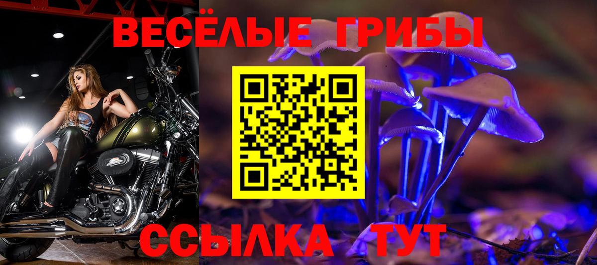Псилоцибиновые грибы ЛСД Ступино