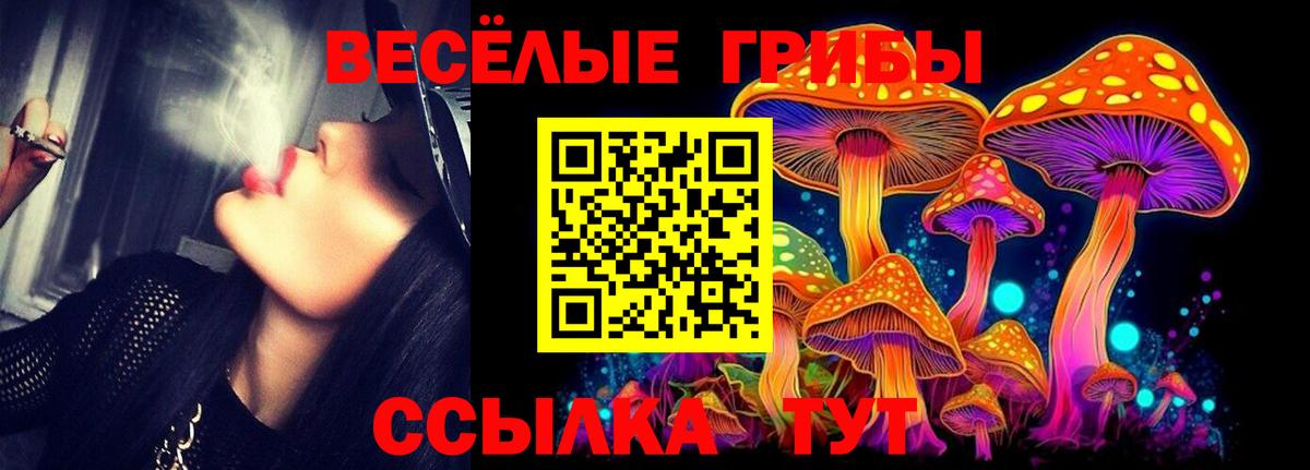 Ступино  Псилоцибиновые грибы ЛСД  Вход с VPN  Галлюциногенные грибы Psilocybe 